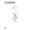 mussels standard canopy 06