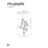 mussels standard canopy 09