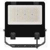 61366 2 led reflektor aveno 100w cerny neutralni bila ip66