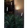 LED vonkajšie zapichovacie svietidlo TORCH, 124cm (Farba Tmavo šedá)