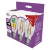 61720 led zarovka filament a class a60 e27 5 w 75 w 1 060 lm neutralni bila