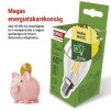 62792 13 led zarovka filament mini globe a class e14 3 8 w 60 w 806 lm tepla bila