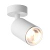 pol pl LAMPA WEWNETRZNA KINKIET ZUMA LINE TORI SL 3 20016 WH white 639 1