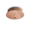 249278 WEB001 ROSONE STANDARD 1 LUCE RAME BRUNITO
