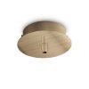 249261 WEB001 ROSONE STANDARD 1 LUCE OTTONE BRUNITO