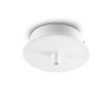 122823 WEB001 ROSONE METALLO 1 LUCE BIANCO