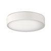 Stropné LED svietidlo DINS, ⌀ 26 cm, 2xE27 15W, IP44 (Farba Nikel)