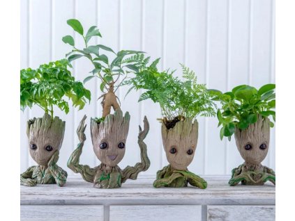 groot