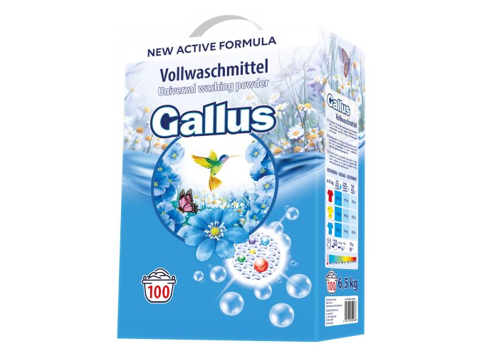 gallus