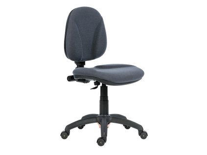 Pracovní židle Ergo Antistatic bez područek, šedá