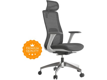 46373 kancelarska zidle wisdom sedy plast svetle seda