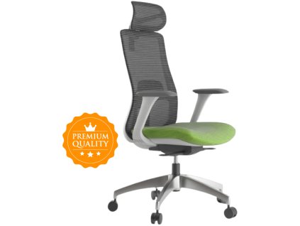 46376 kancelarska zidle wisdom sedy plast zelena