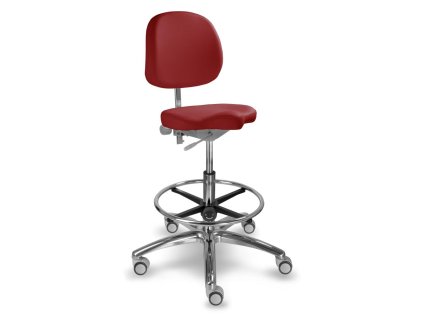 47081 47081 47081 47081 1258 dent 30 511