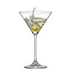 Klasický kónický pohár na Martini RONA Universal 210 ml