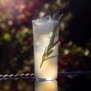 Elegantný long drink s rozmarínom v dizajnovom barovom pohári NUDE Savage Highball