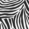 DD zebra