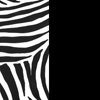 DD zebra black