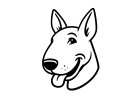Standart Bullterrier