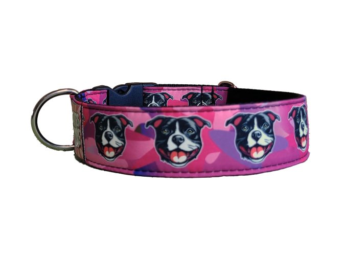 Collar Staffordshire Bull Terrier Black