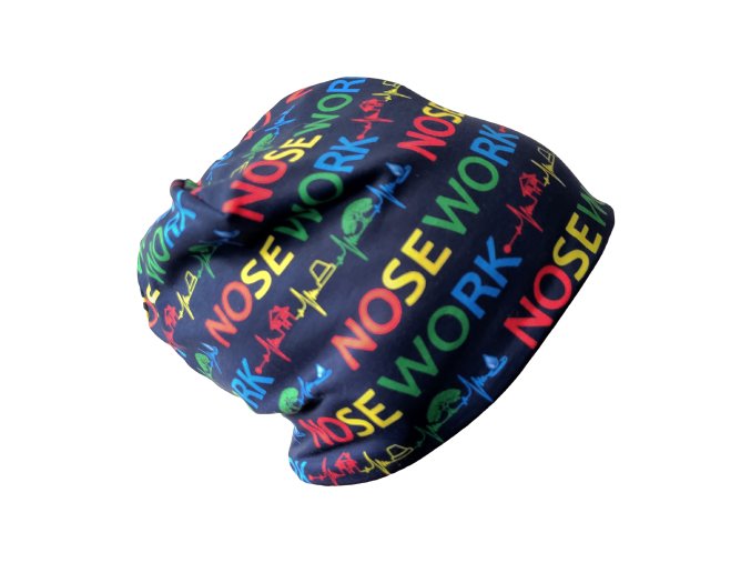 Beanie Homeless Nosework