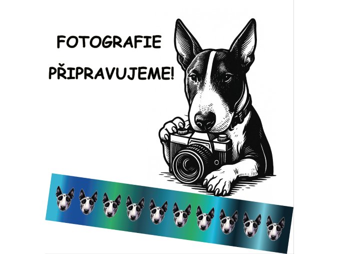 Switchable Leash Bullterrier el Muerto BW