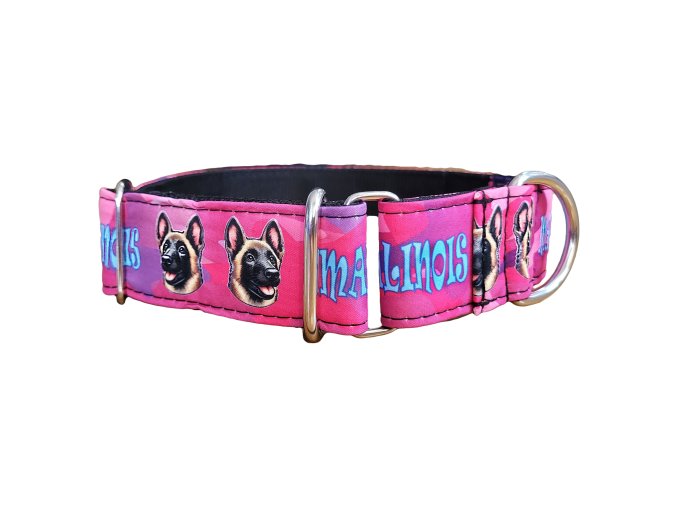 Semi-slip Collar Malinois Letters Army