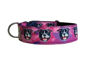 Collar Staffordshire Bull Terrier Black