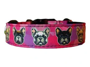 Collar French Bulldog