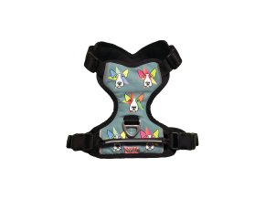 Harness Bullterrier Star