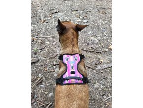 Harness Malinois Letters