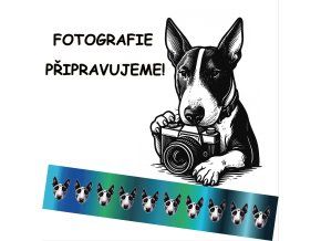 Přepínací vodítko Mini Bullterrier el Muerto BW