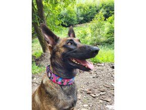 Polostahovací obojek Malinois Army