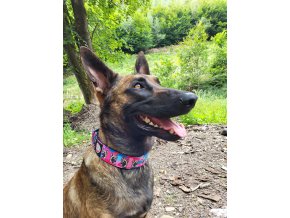 Semi-slip Collar Martingale Malinois Army