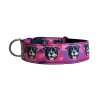 Collar Staffordshire Bull Terrier Black