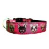 Collar French Bulldog Smile