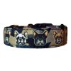 Collar French Bulldog