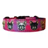 Collar French Bulldog