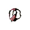 Harness Bullterrier El Muerto Rose