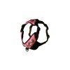 Harness Mini Bullterrier El Muerto Rose 🖤☠️