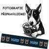 Postroj Malinois Letters