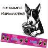 Postroj Malinois Letters