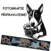 Postroj Malinois Letters
