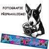 Postroj Malinois Letters