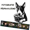 Přepínací vodítko Bullterrier Hlavy