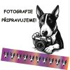 Přepínací vodítko Mini Bullterrier el Muerto BW