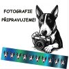 Přepínací vodítko Mini Bullterrier el Muerto BW