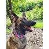 Semi-slip Collar Martingale Malinois Army