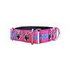 Semi-slip Collar Malinois Letters Army