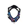 Harness Bullterrier El Muerto 🖤☠️