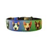Collar Bullterrier Heads